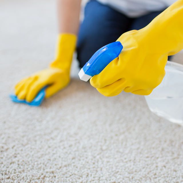 Persona limpiando alfombra