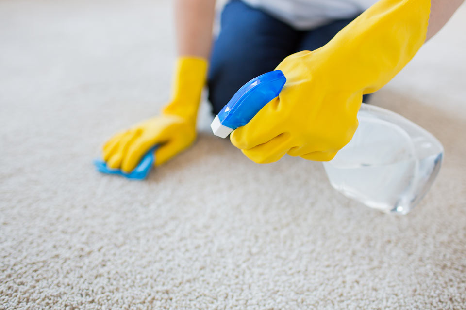 Persona limpiando alfombra